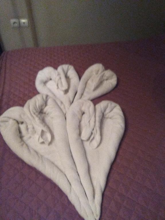 Erofili Hotel Kato Sinikia Trikalon Bagian luar foto
